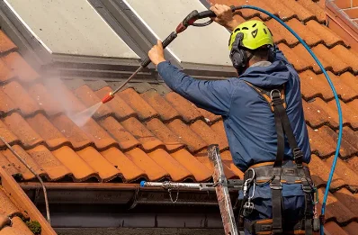 Démoussage et hydrofuge de toiture à Genilac